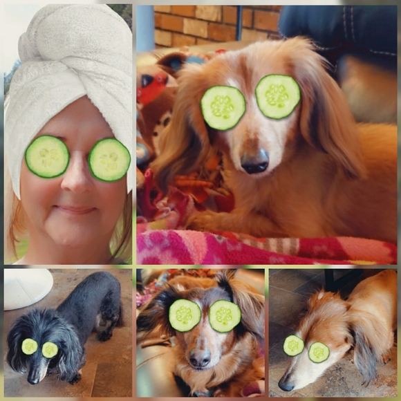 Meet your Posher, Debra - Picture 6 of 12